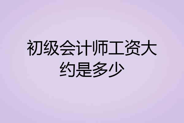 初级会计师工资大约是多少