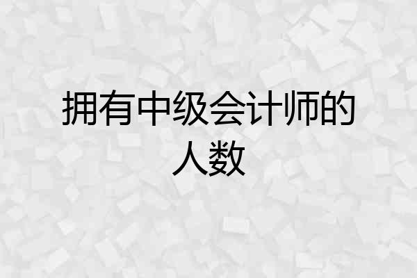 拥有中级会计师的人数