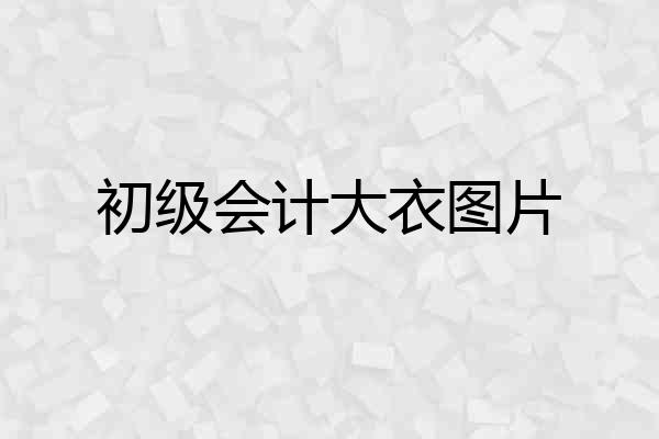 初级会计大衣图片