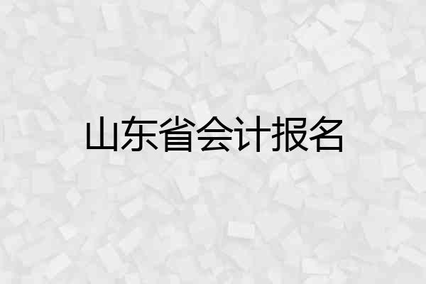 山东省会计报名