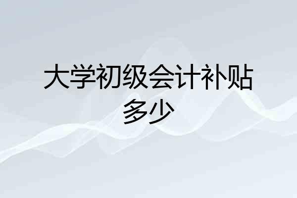 大学初级会计补贴多少