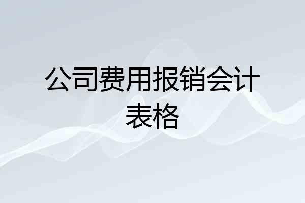 公司费用报销会计表格