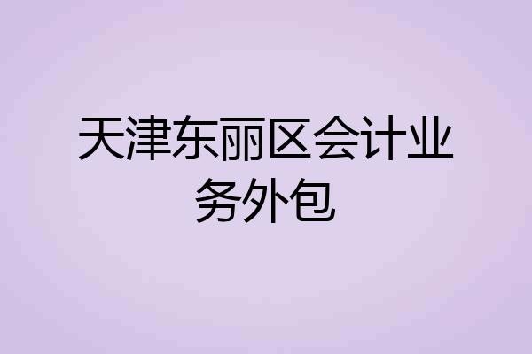 天津东丽区会计业务外包