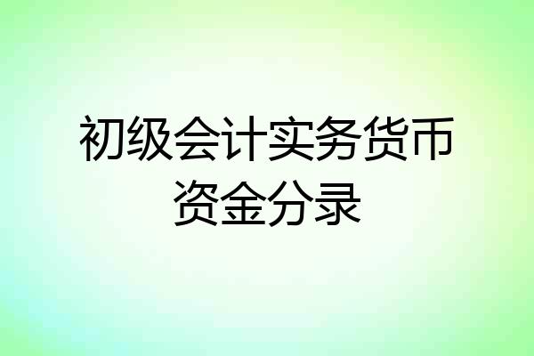 初级会计实务货币资金分录