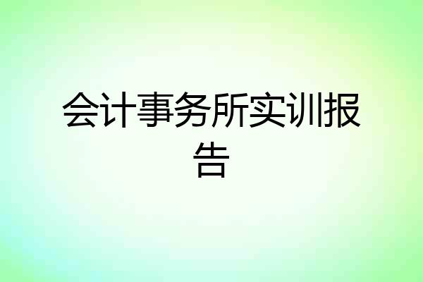 会计事务所实训报告