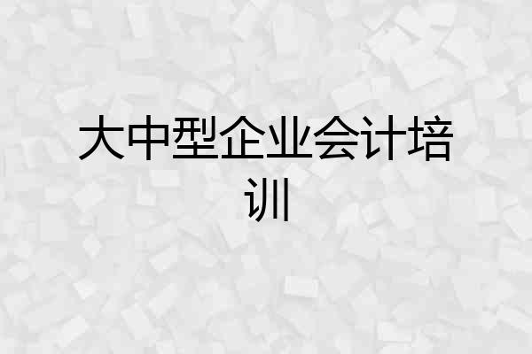 大中型企业会计培训