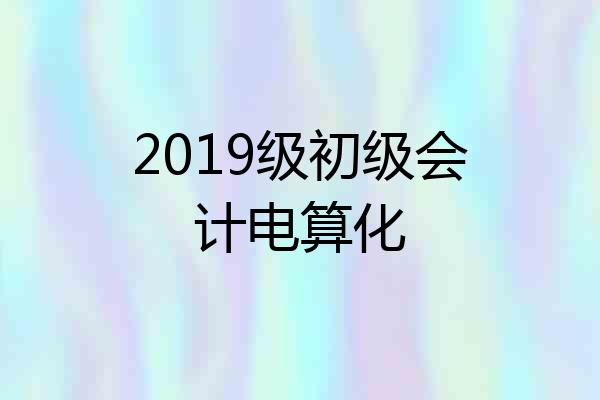 2019级初级会计电算化