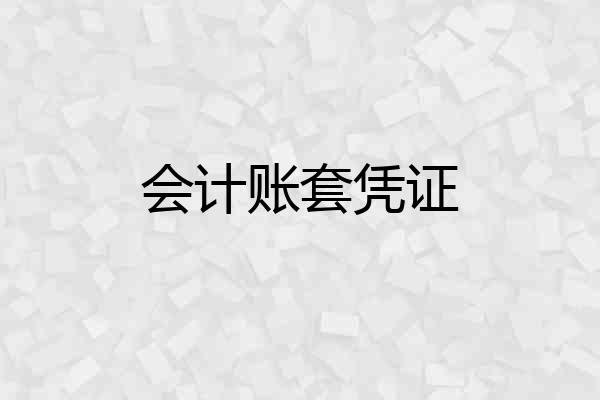 会计账套凭证
