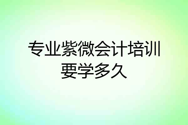 专业紫微会计培训要学多久