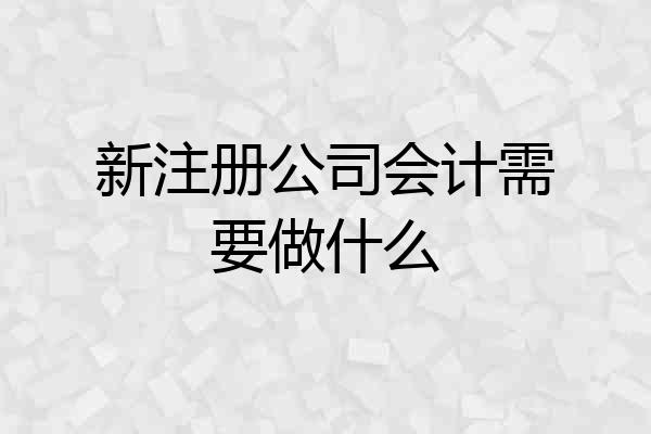 新注册公司会计需要做什么