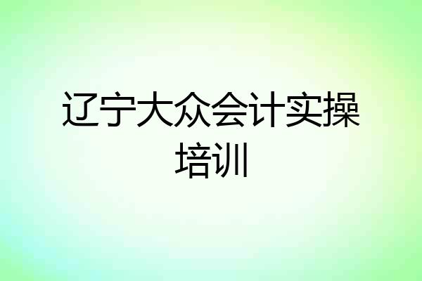 辽宁大众会计实操培训