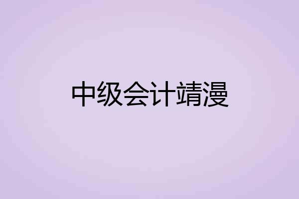 中级会计靖漫