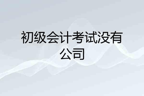 初级会计考试没有公司