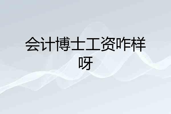 会计博士工资咋样呀