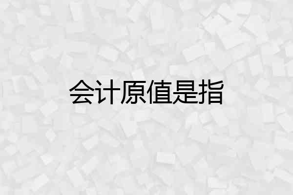 会计原值是指