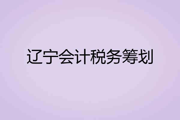 辽宁会计税务筹划
