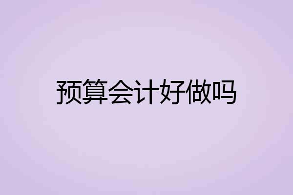 预算会计好做吗