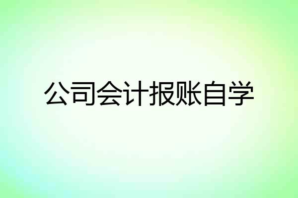 公司会计报账自学