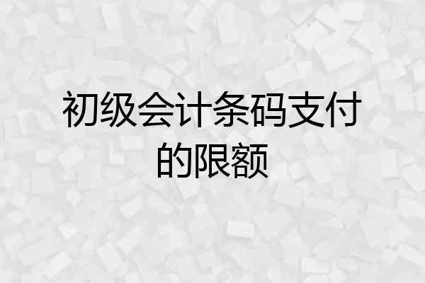 初级会计条码支付的限额
