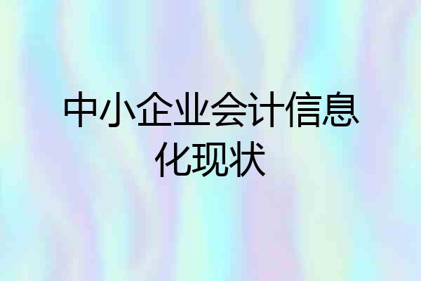 中小企业会计信息化现状