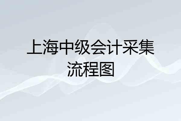 上海中级会计采集流程图