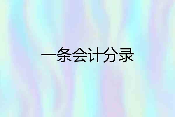 一条会计分录