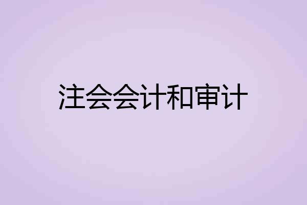 注会会计和审计