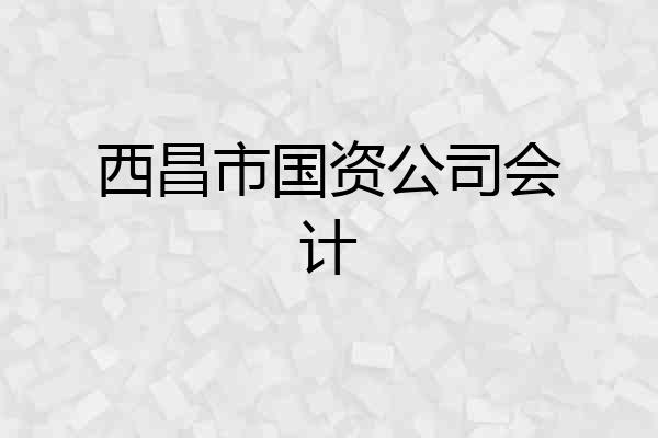西昌市国资公司会计