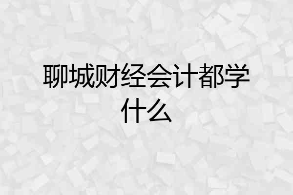 聊城财经会计都学什么
