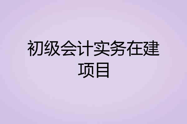 初级会计实务在建项目