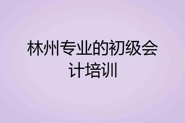 林州专业的初级会计培训