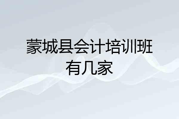 蒙城县会计培训班有几家