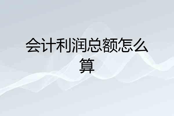 会计利润总额怎么算