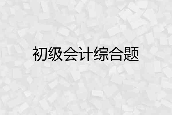 初级会计综合题