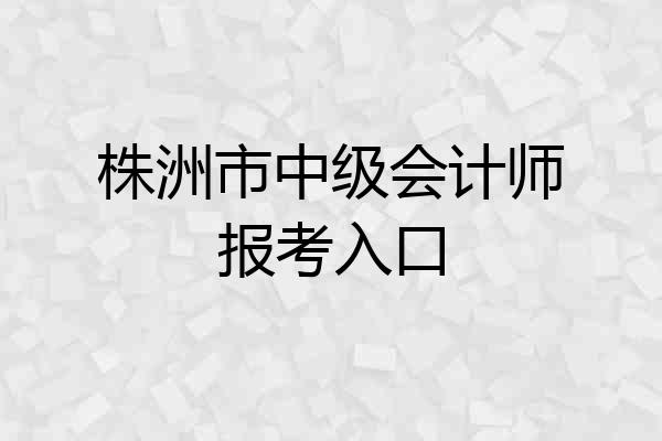 株洲市中级会计师报考入口