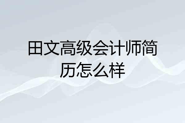 田文高级会计师简历怎么样