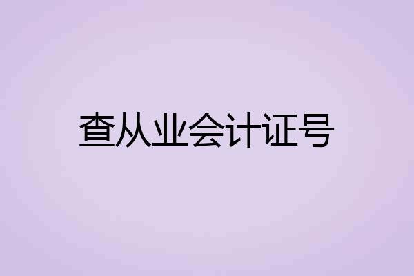 查从业会计证号
