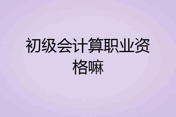 初级会计算职业资格嘛