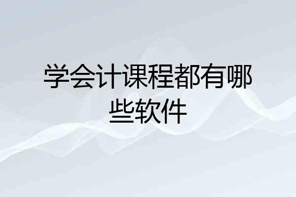 学会计课程都有哪些软件