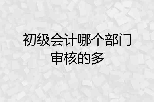 初级会计哪个部门审核的多