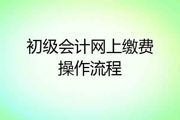 初级会计网上缴费操作流程