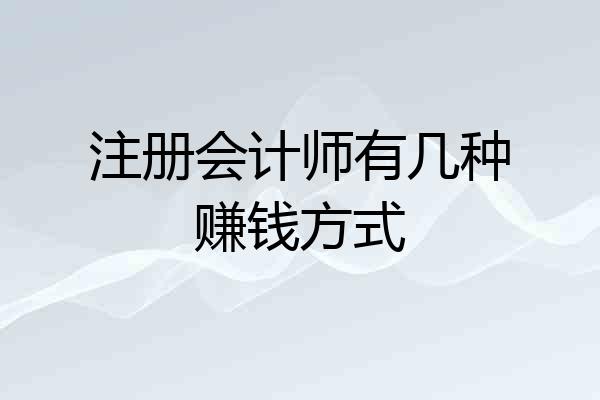 注册会计师有几种赚钱方式