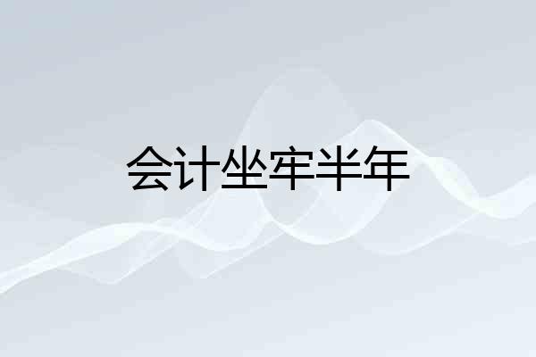 会计坐牢半年