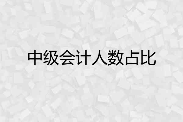 中级会计人数占比