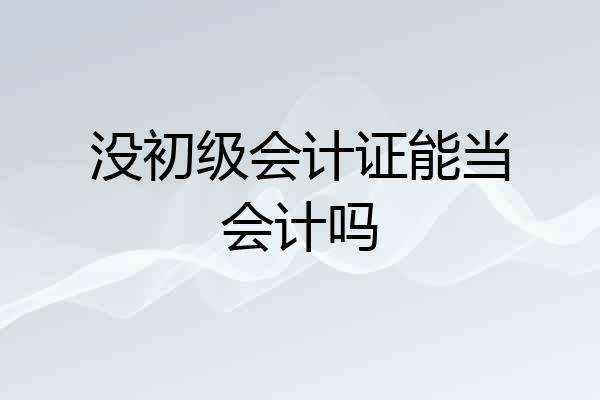 没初级会计证能当会计吗