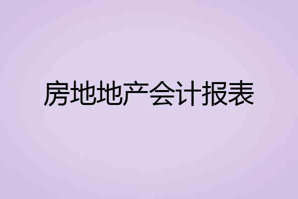 房地地产会计报表