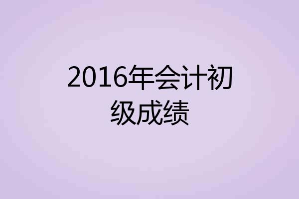 2016年会计初级成绩