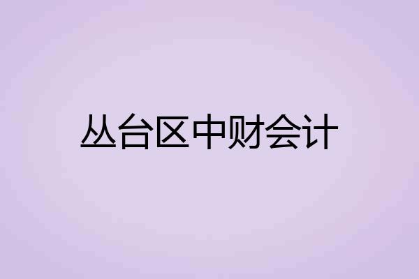 丛台区中财会计