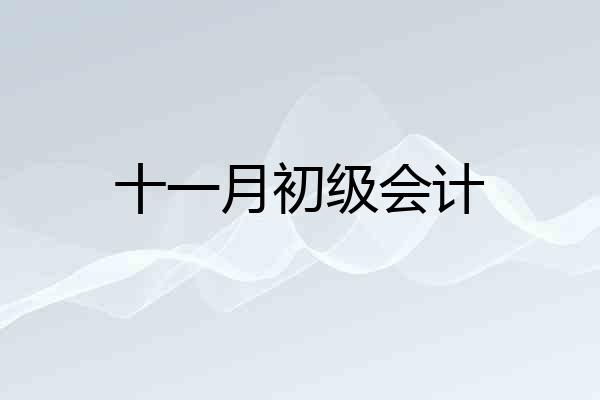 十一月初级会计