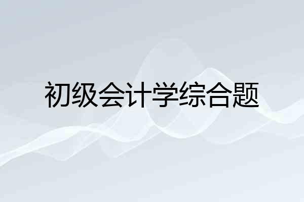 初级会计学综合题